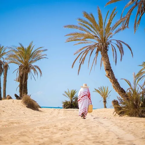 Location de voiture à l'aéroport de Djerba : le guide pour bien démarrer